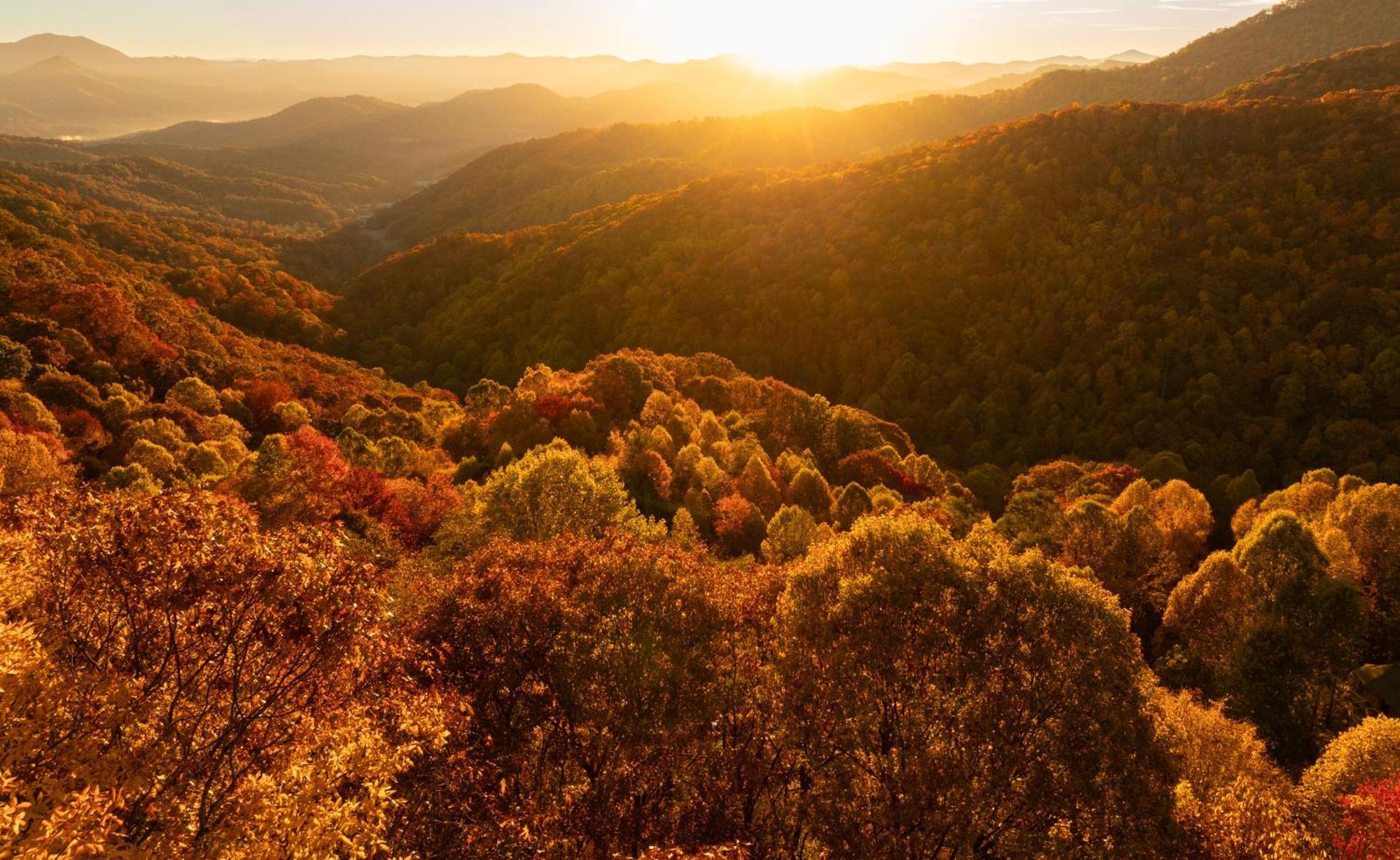 Elk & Embers Mountain Hideaway Hotell Waynesville Eksteriør bilde