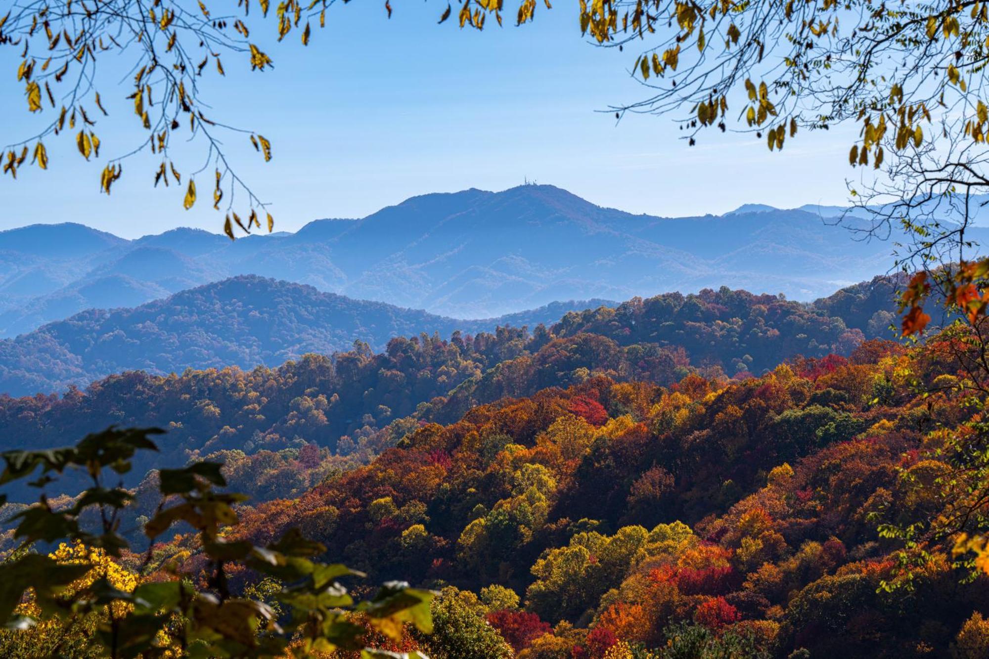 Elk & Embers Mountain Hideaway Hotell Waynesville Eksteriør bilde